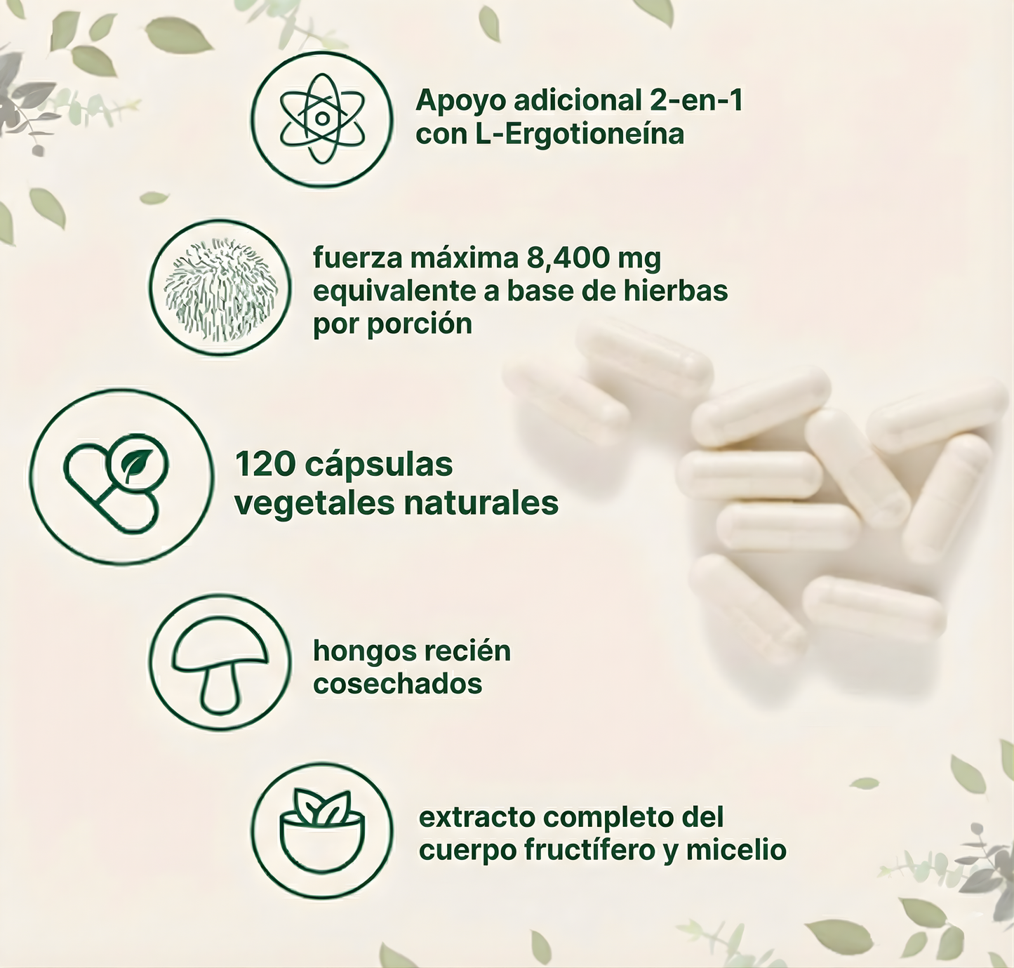 Suplemento Lion's Mane: Claridad Mental y Refuerzo Inmunológico