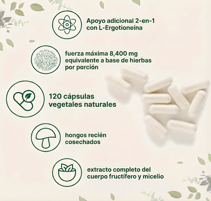 Suplemento Lion's Mane: Claridad Mental y Refuerzo Inmunológico